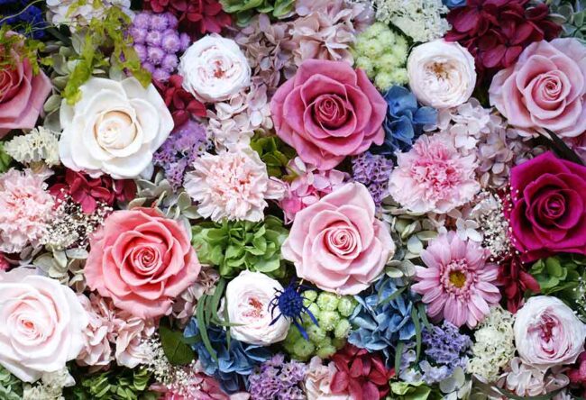 Types Of Flowers